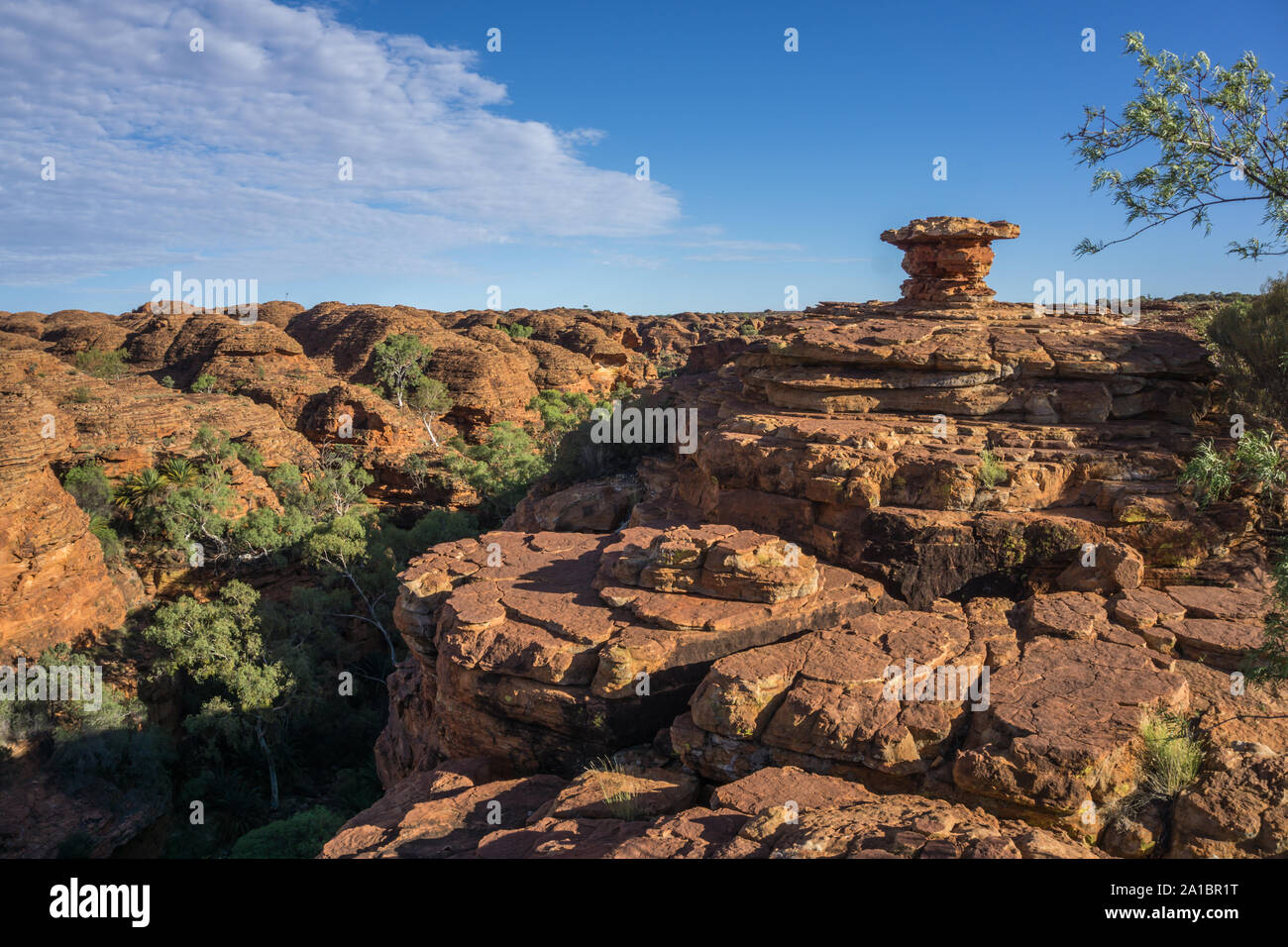 Kings Canyon, Watarrka National Park, il Territorio del Nord, l'Australia Foto Stock