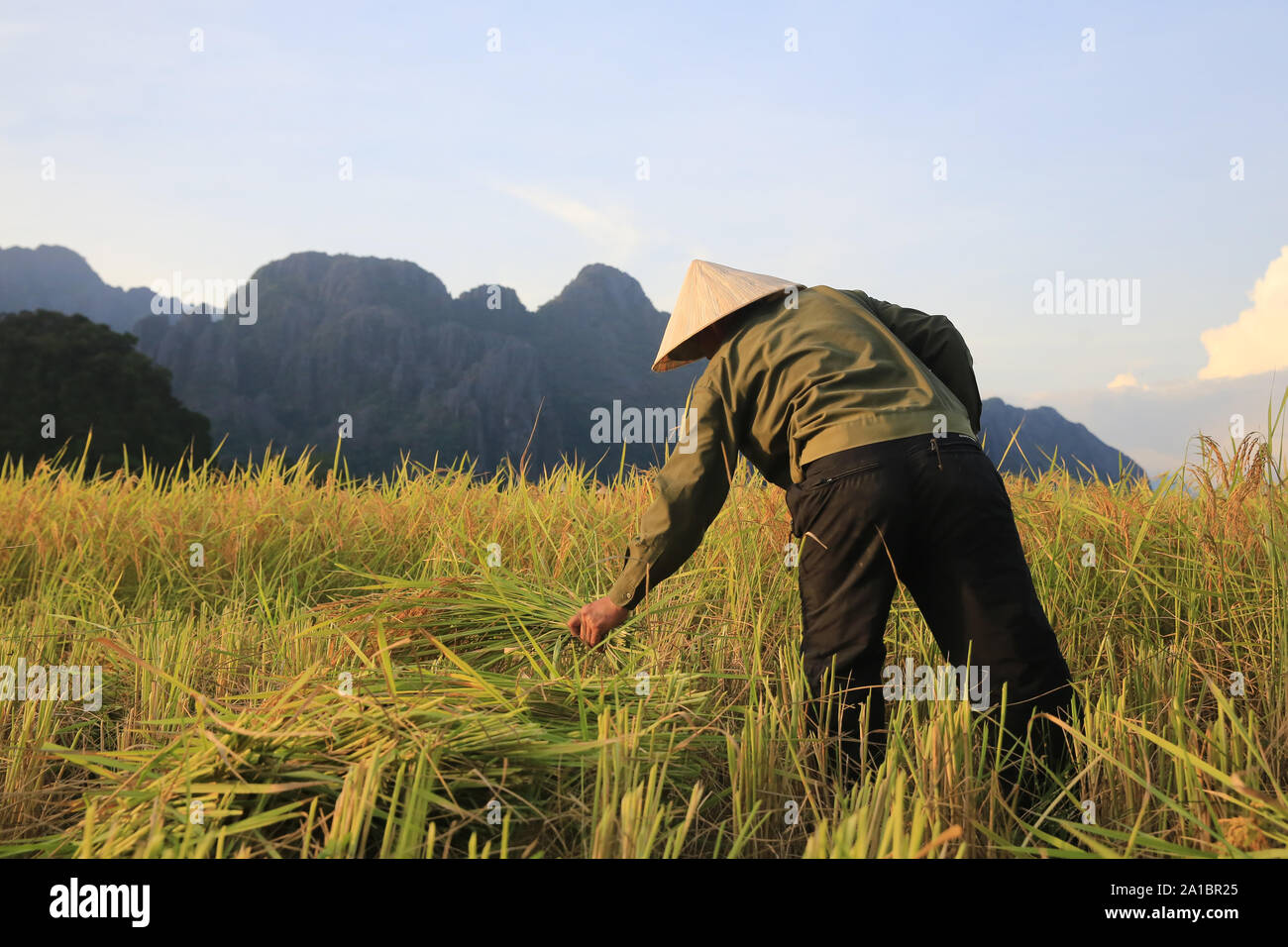 L'agricoltore che lavorano in campi di riso nel paesaggio rurale. Vang Vieng. Laos. Foto Stock