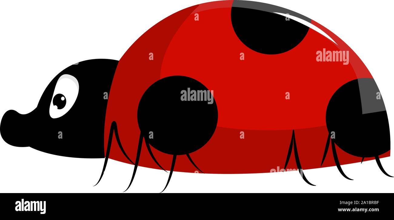 Lady bug, illustrazione vettore su sfondo bianco. Illustrazione Vettoriale