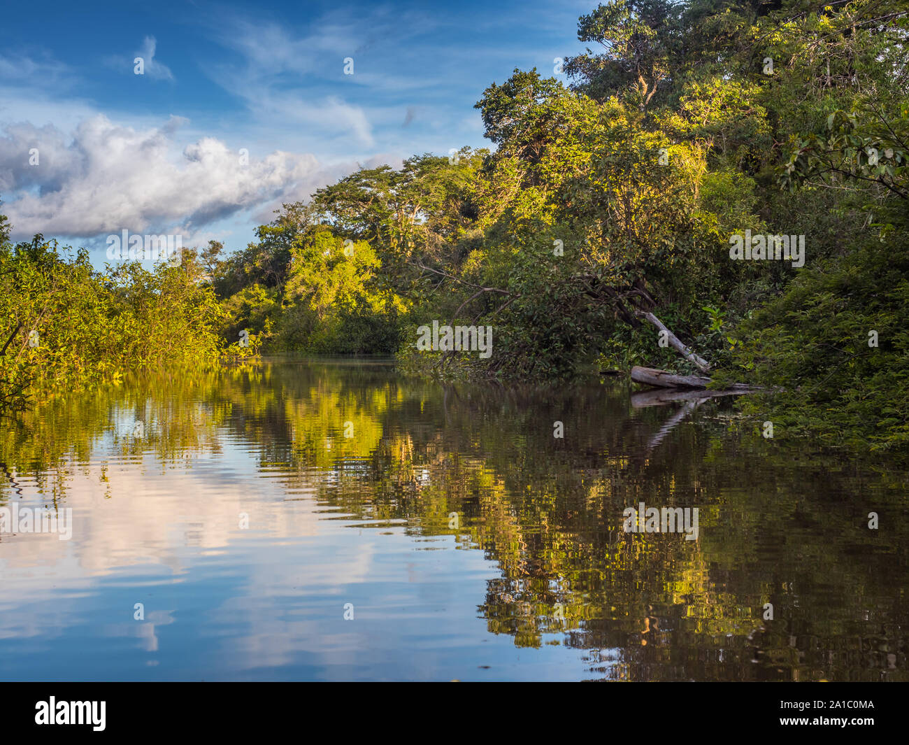 Vista della Laguna di Coati vicino al fiume Javari, tributario del fiume Rio delle Amazzoni, Amazonia. Selva sul confine del Brasile e Perù. Sud America. Foto Stock