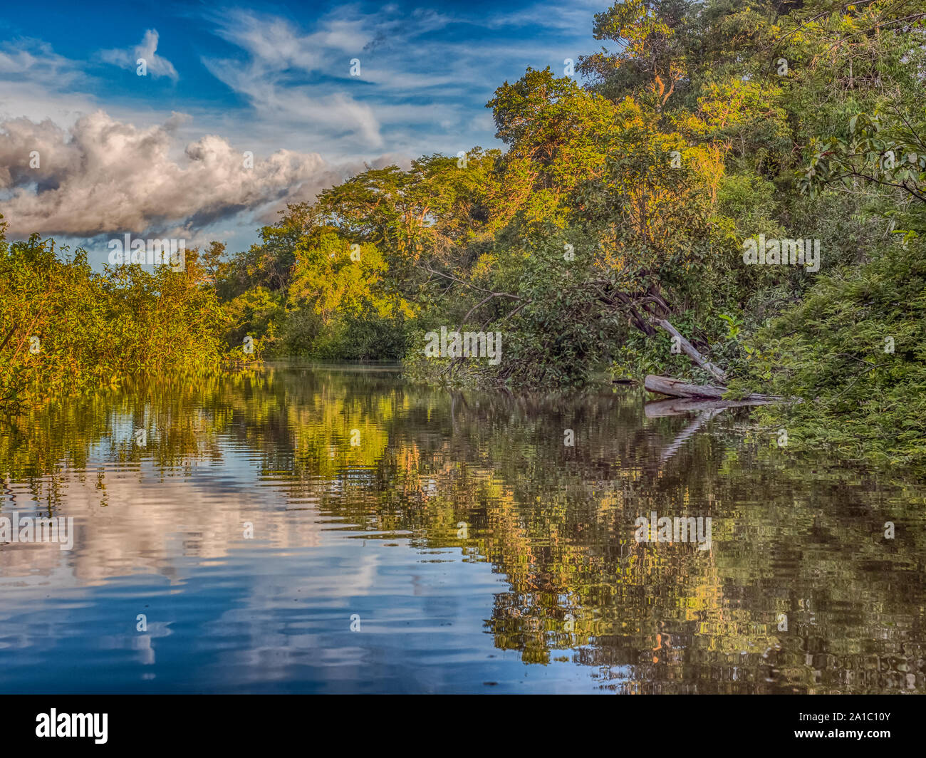 Vista della Laguna di Coati vicino al fiume Javari, tributario del fiume Rio delle Amazzoni, Amazonia. Selva sul confine del Brasile e Perù. Sud America. Foto Stock