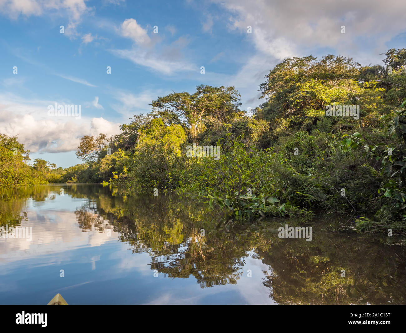 Vista della Laguna di Coati vicino al fiume Javari, tributario del fiume Rio delle Amazzoni, Amazonia. Selva sul confine del Brasile e Perù. Sud America. Foto Stock