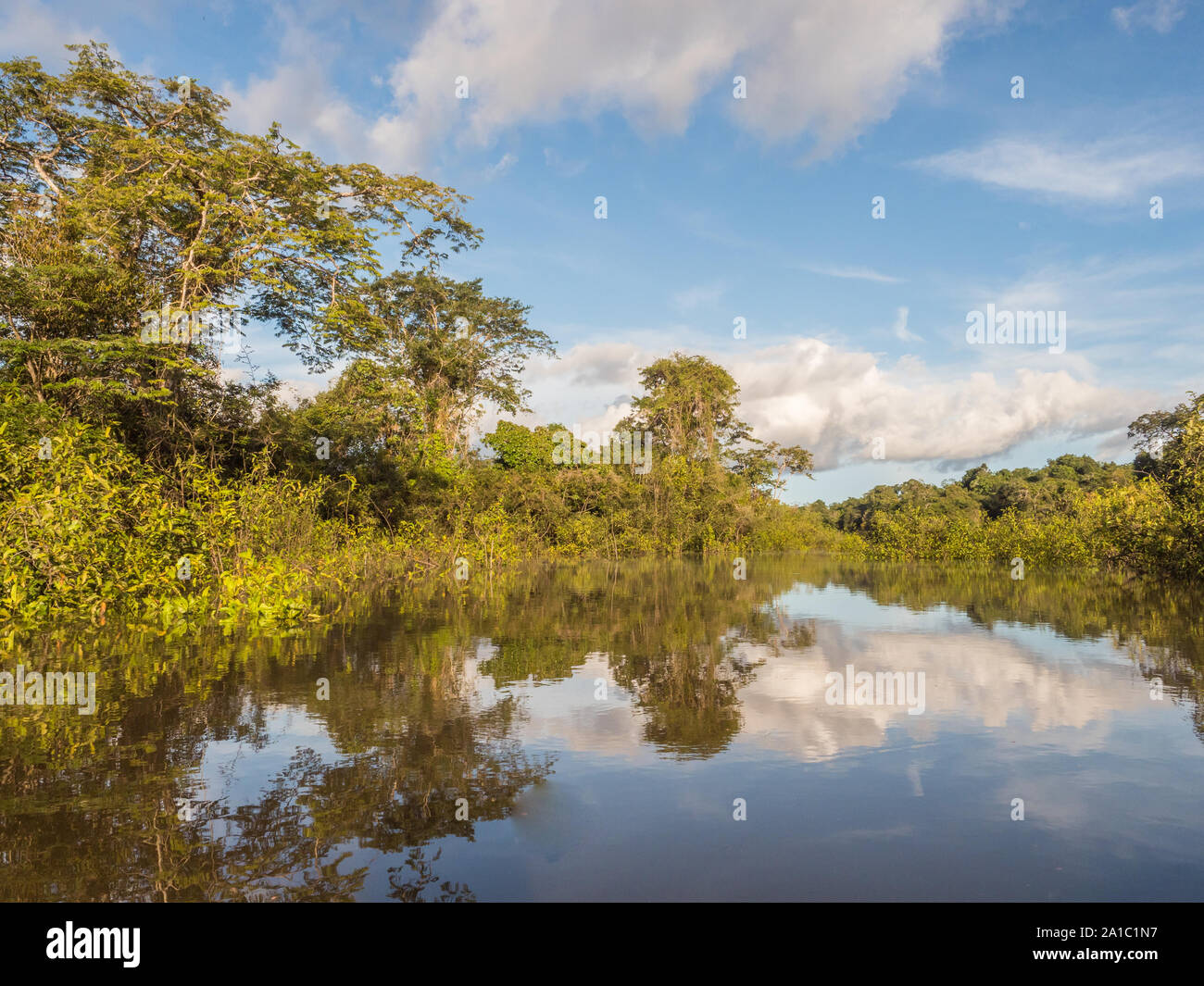Vista della Laguna di Coati vicino al fiume Javari, tributario del fiume Rio delle Amazzoni, Amazonia. Selva sul confine del Brasile e Perù. Sud America. Foto Stock