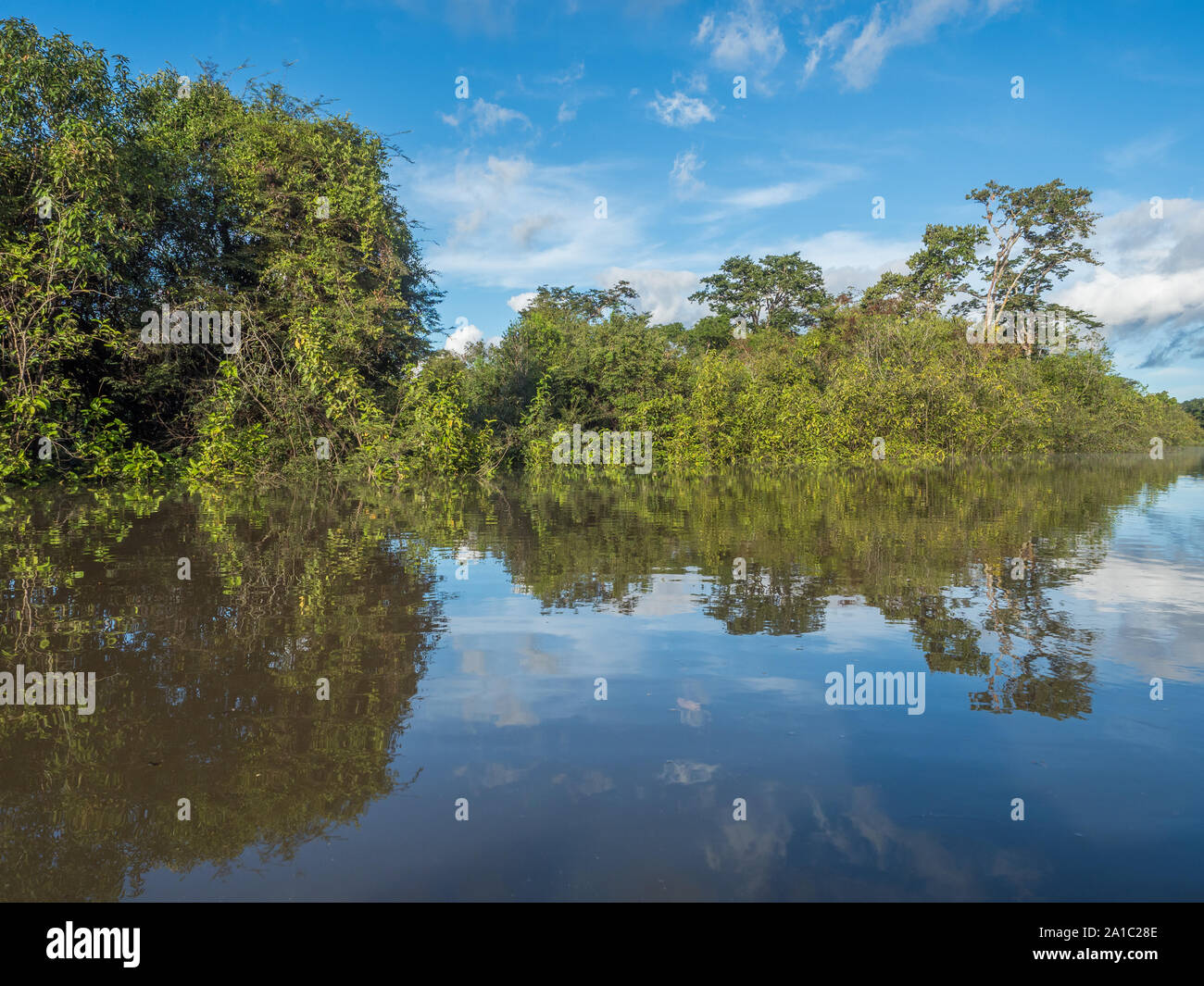Vista della Laguna di Coati vicino al fiume Javari, tributario del fiume Rio delle Amazzoni, Amazonia. Selva sul confine del Brasile e Perù. Sud America. Foto Stock