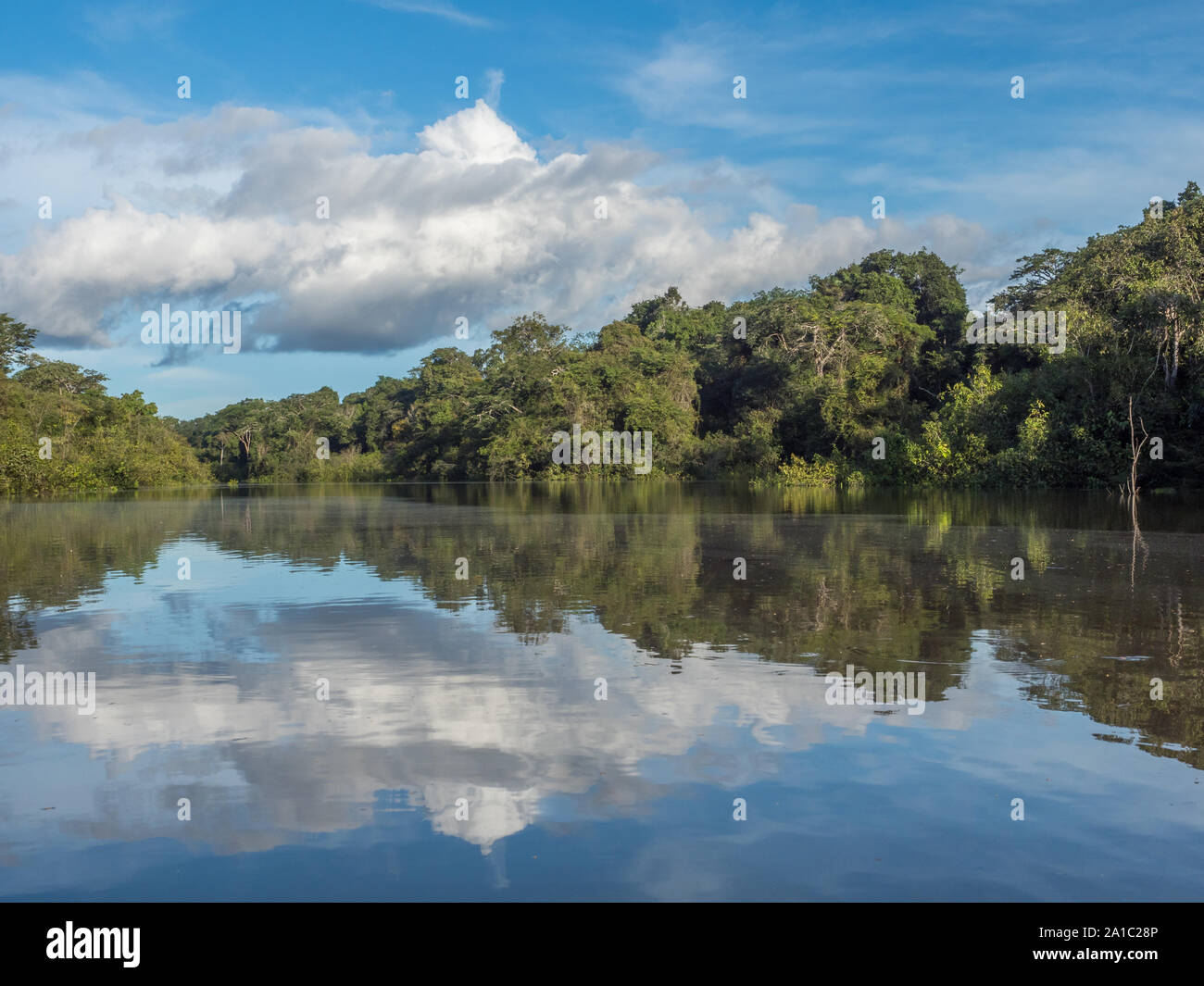 Vista della Laguna di Coati vicino al fiume Javari, tributario del fiume Rio delle Amazzoni, Amazonia. Selva sul confine del Brasile e Perù. Sud America. Foto Stock