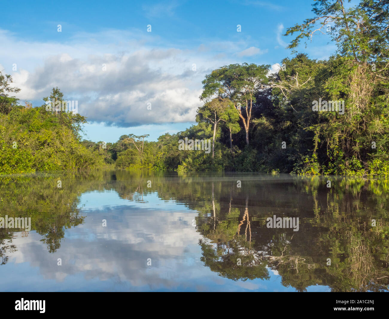Vista della Laguna di Coati vicino al fiume Javari, tributario del fiume Rio delle Amazzoni, Amazonia. Selva sul confine del Brasile e Perù. Sud America. Foto Stock