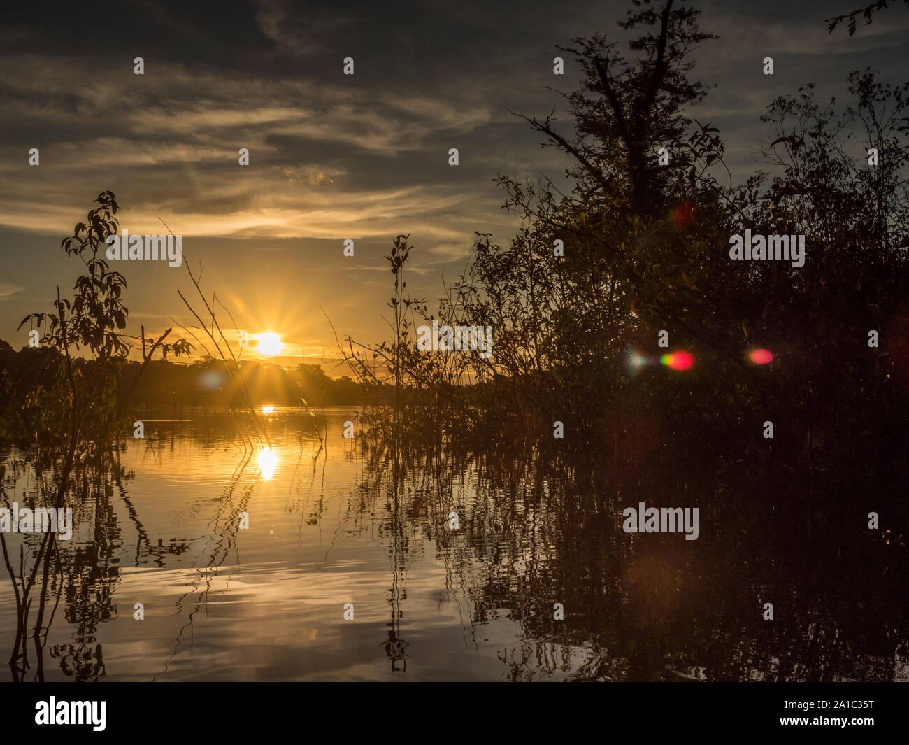 Amazonia. Vista tramonto visto dal kayak. Coati laguna vicino il fiume Javari, tributario del fiume Rio delle Amazzoni. Selva sul confine del Brasile e pe Foto Stock