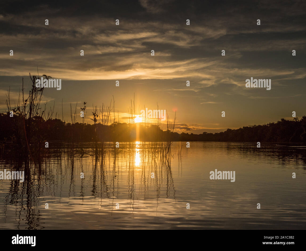 Vista al tramonto del Coati laguna vicino il fiume Javari, tributario del fiume Rio delle Amazzoni, Amazonia. Selva sul confine del Brasile e Perù. Sud America. Foto Stock