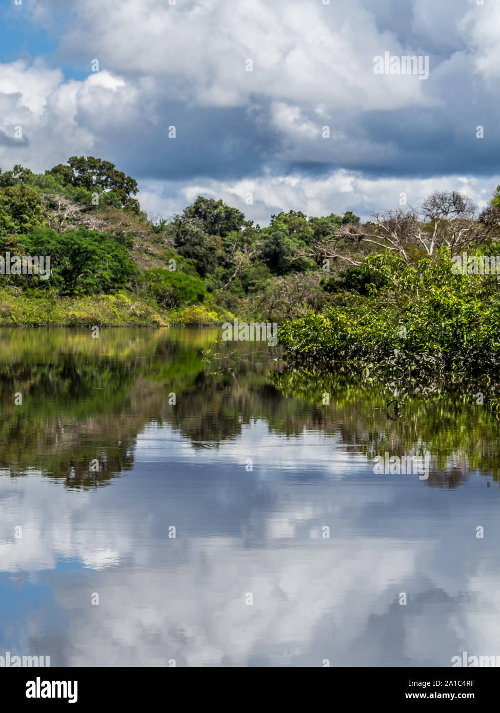 Vista sulla laguna vicino al fiume Javari, tributario del fiume Rio delle Amazzoni, Amazonia. Selva sul confine del Brasile e Perù. Sud America. Foto Stock