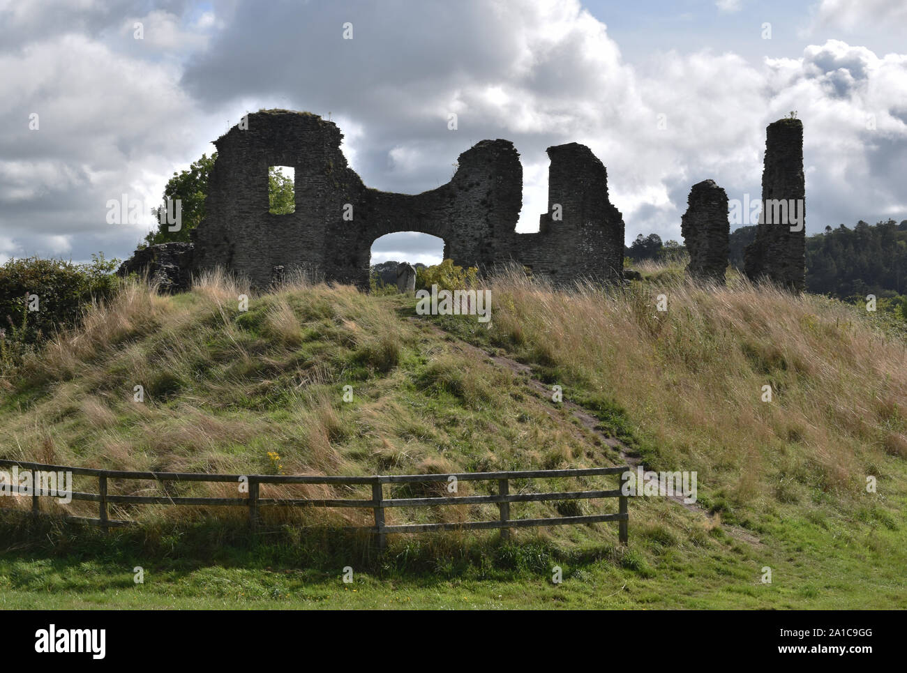 Castello in rovina, Newcastle Emlyn, Wales, Regno Unito Foto Stock