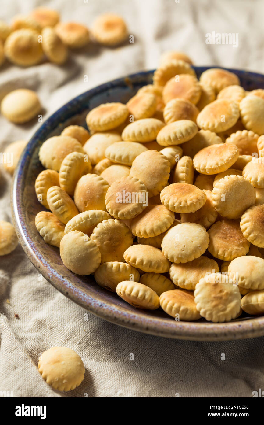 Grano intero Oyster crackers con sale marino Foto Stock