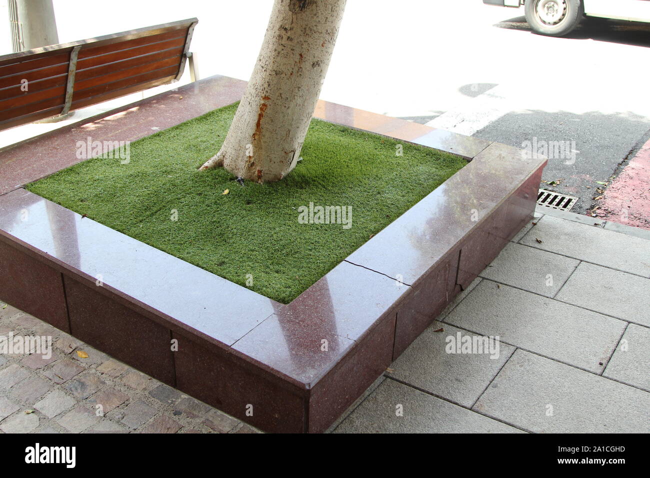 Astro turf tree, Adeje, Tenerife, Isole Canarie, SpainTenerife, Isole Canarie, Spagna Foto Stock