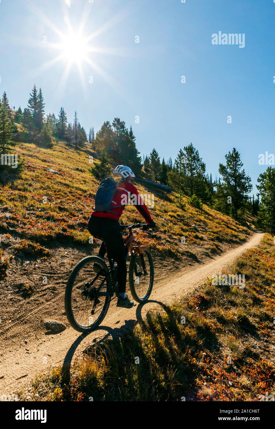 Gli amanti della mountain bike sul famoso Monarch Crest Trail, lungo il Continental Divide in Colorado, in sella ad un allevatore di Alleanza Nazionale contro Foto Stock