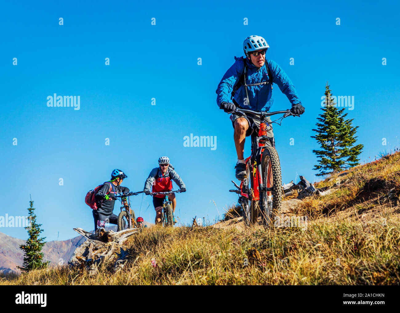 Gli amanti della mountain bike sul famoso Monarch Crest Trail, lungo il Continental Divide in Colorado, in sella ad un allevatore di Alleanza Nazionale contro Foto Stock