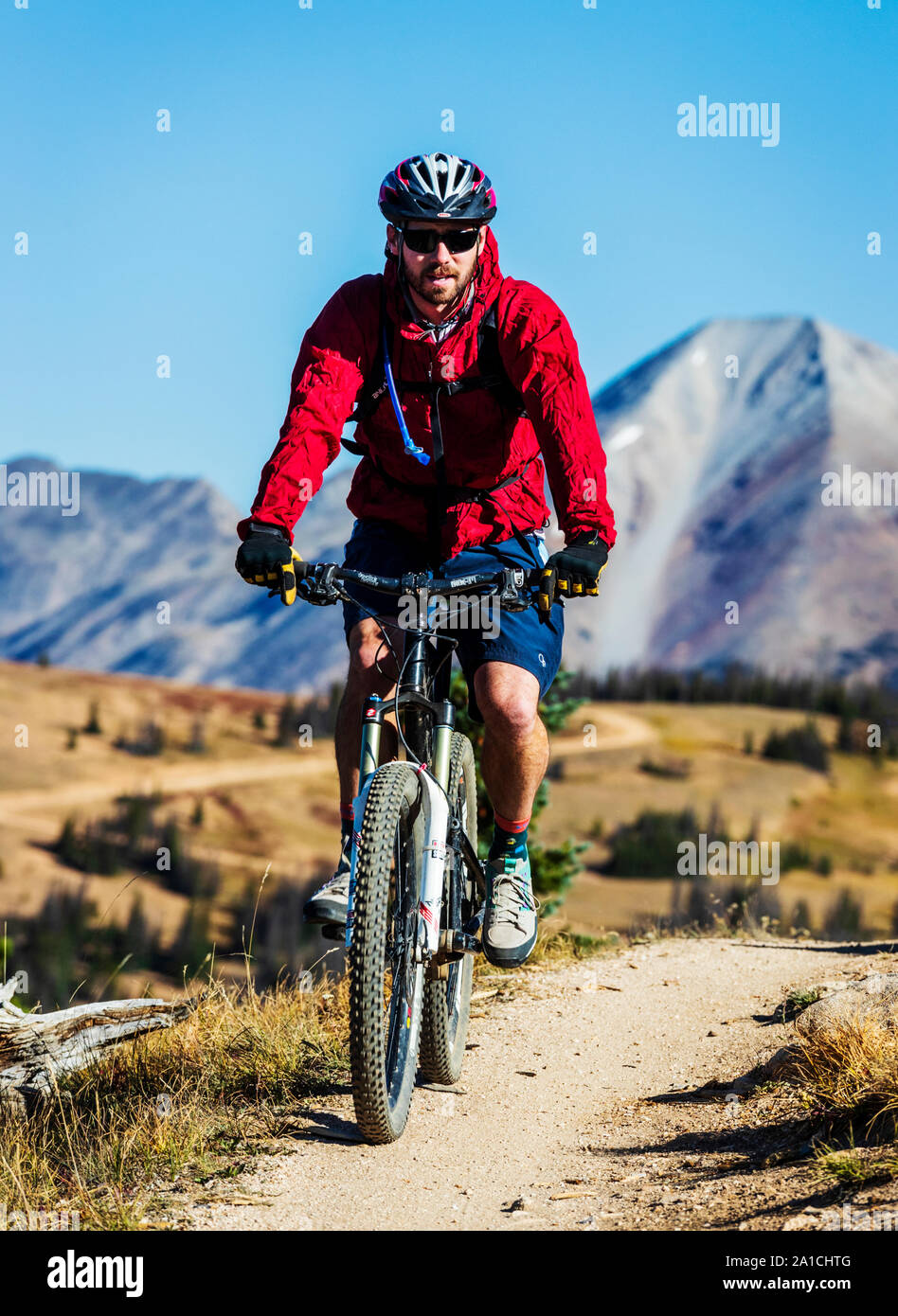 Gli amanti della mountain bike sul famoso Monarch Crest Trail, lungo il Continental Divide in Colorado, in sella ad un allevatore di Alleanza Nazionale contro Foto Stock