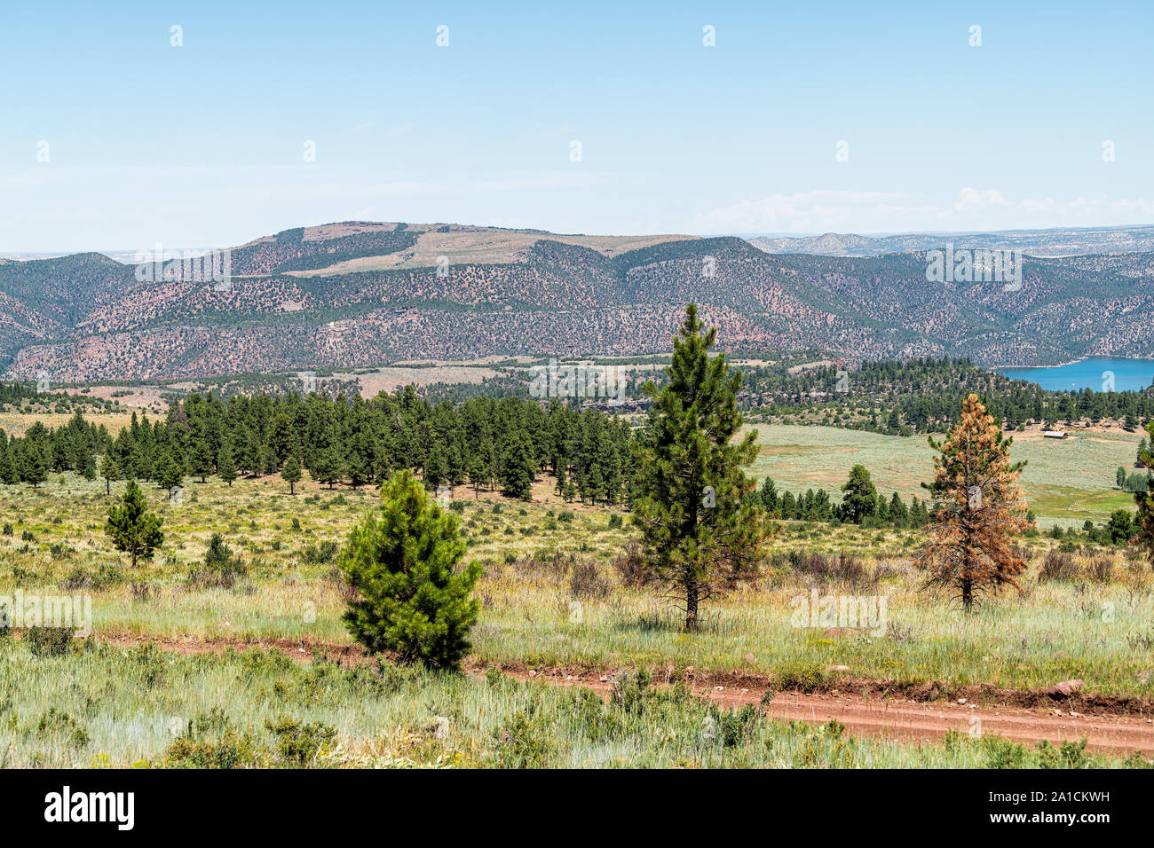 Flaming Gorge National Park panorama in estate in Utah con strada sterrata e alberi Foto Stock