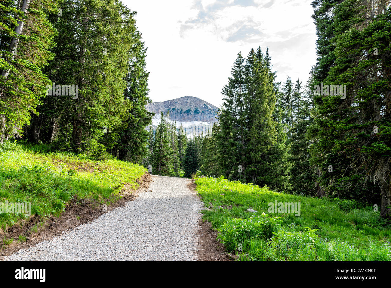 Albion bacino, Utah estate con vista del paesaggio di strada sterrata Sentiero fino in montagne Wasatch al Lago Cecret Foto Stock