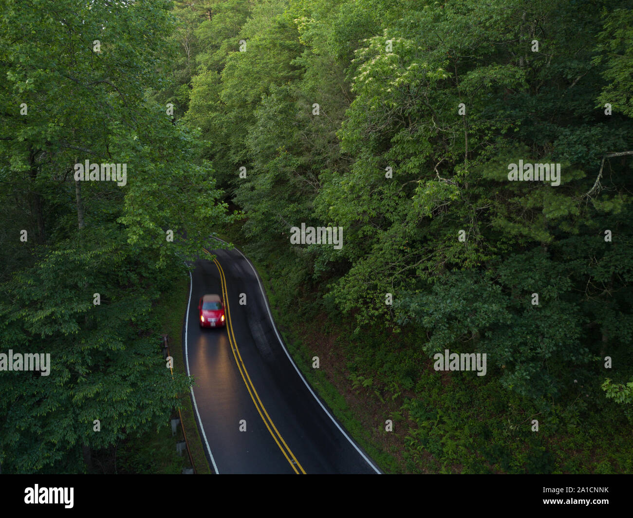 Una veduta aerea di un automobile rossa la guida verso il basso un wet tortuosa strada attraverso una lussureggiante foresta verde appena dopo una tempesta di pioggia. Foto Stock