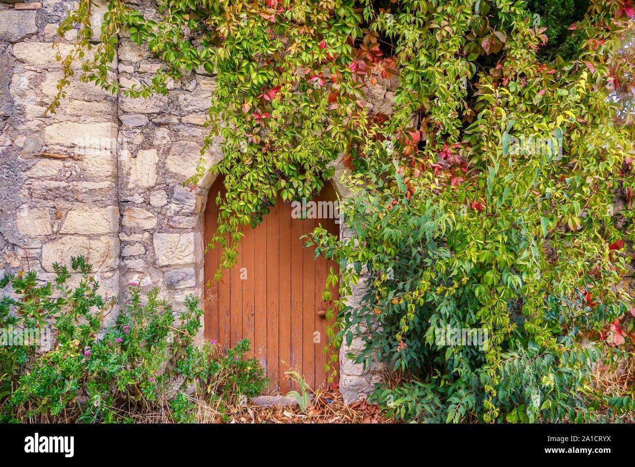 Vista sulla strada di una vecchia casa di pietra l'entrata in Provenza, in Francia, dove un vintage round lo sportello superiore e la parete sono parzialmente coperti da graziosi vigneti di arrampicata Foto Stock