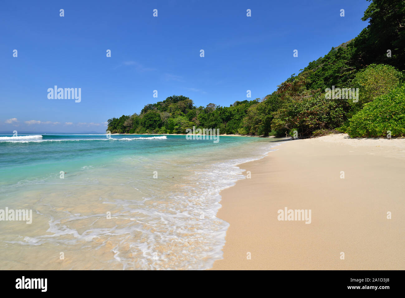 Spiaggia nr 7 in Havelock Island, Andaman e Nicobar, India Foto Stock