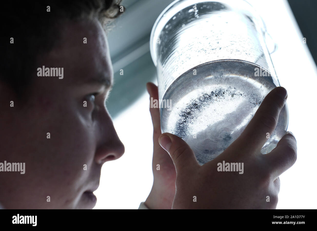 Università di Newcastle studente di dottorato di ricerca Max Kelly, 24, all'Benton e Proctor Gamble sito in Newcastle, viste le microfibre raccolte a seguito di una macchina di lavaggio il ciclo di lavaggio. Foto Stock