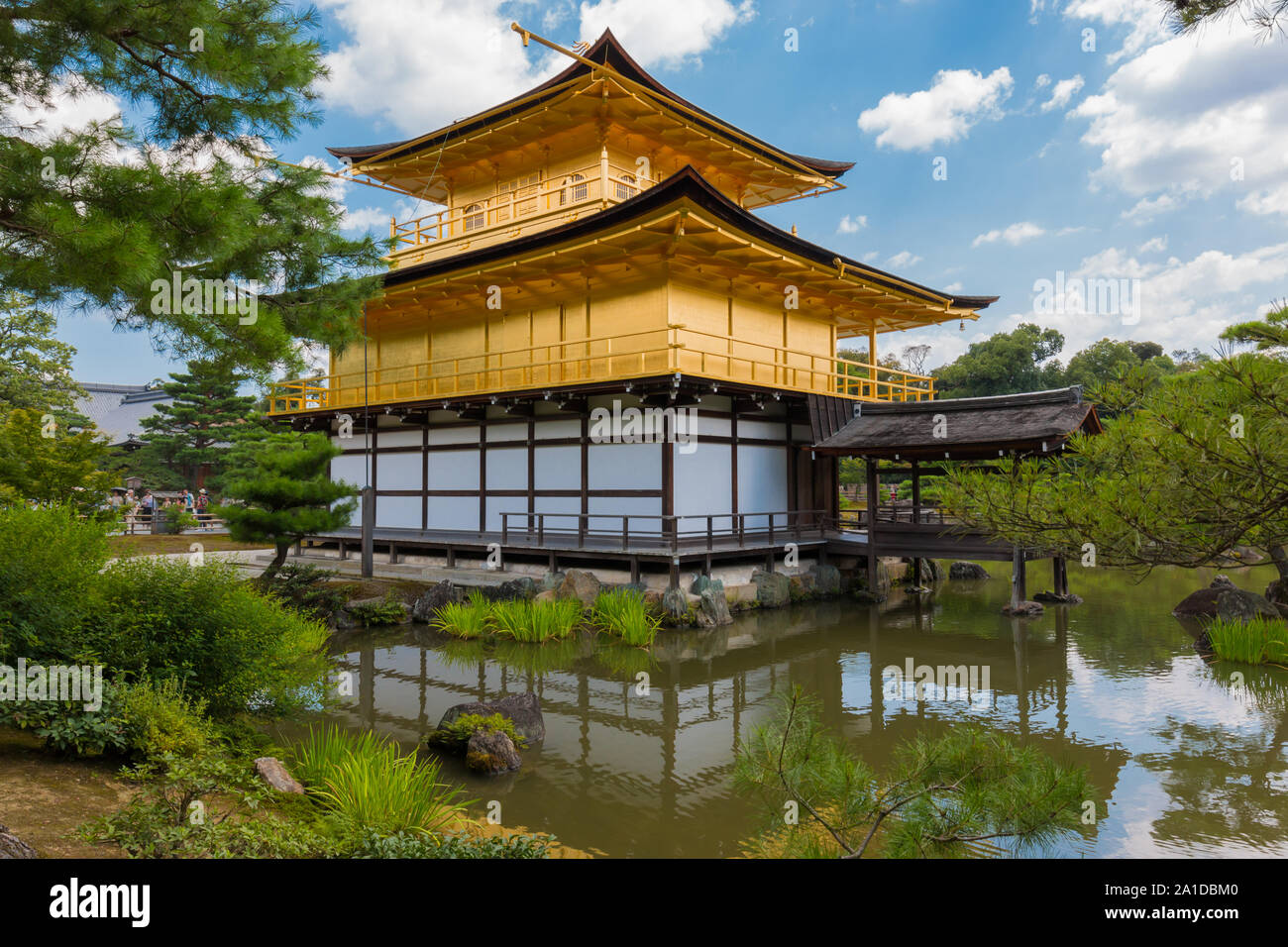 Kinkaku-ji (Tempio del Padiglione Dorato) è uno Zen tempio buddista a Kyoto, Giappone. storica pietra miliare in Giappone. Splendido edificio di architettura terre Foto Stock