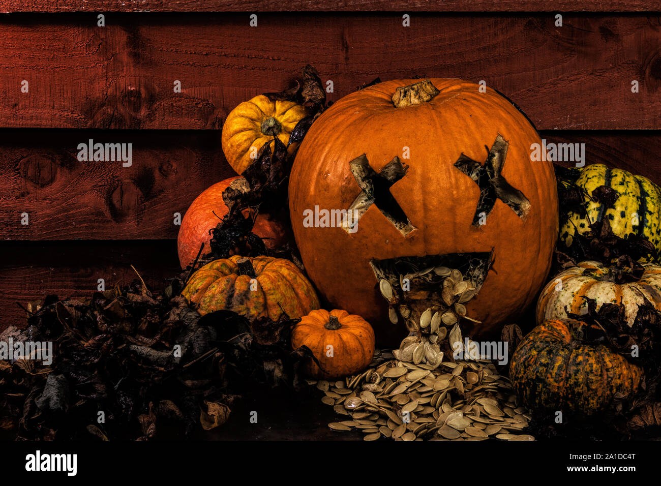 Zucca di Halloween display Foto Stock