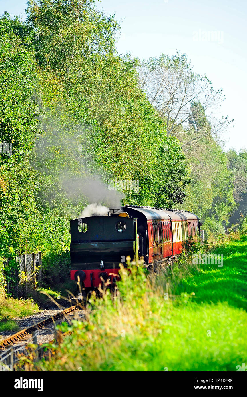 Ribble Steam Railway treno in viaggio nella zona boschiva in un giorno di estate Foto Stock