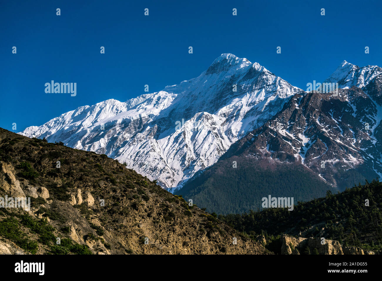 Montare Nilgiri, Mustang inferiore, Nepal Foto Stock