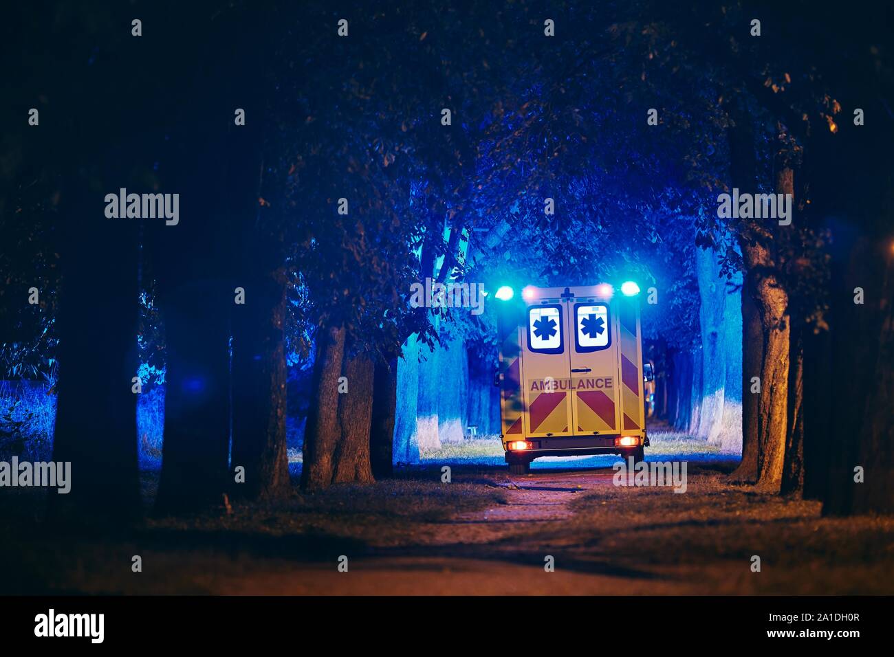 Salvataggio nel vicolo buio. Vista posteriore di ambulanza del servizio di emergenza medica contro gli alberi illuminati dal blu del lampeggiatore. Foto Stock