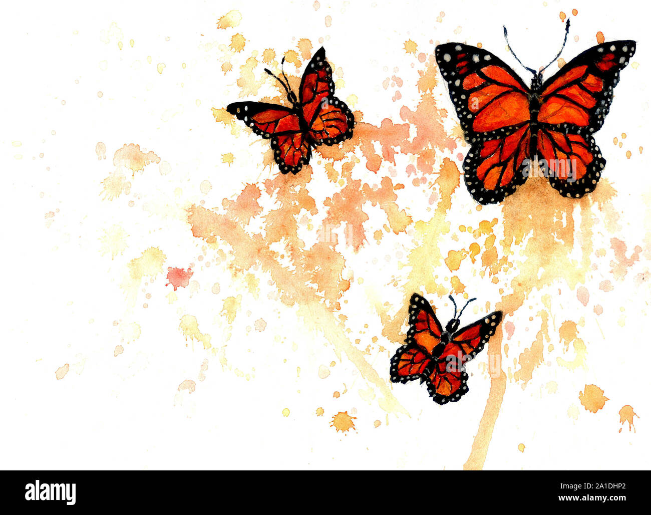 Arancio brillante farfalle monarca dipinti ad acquerello Foto stock - Alamy