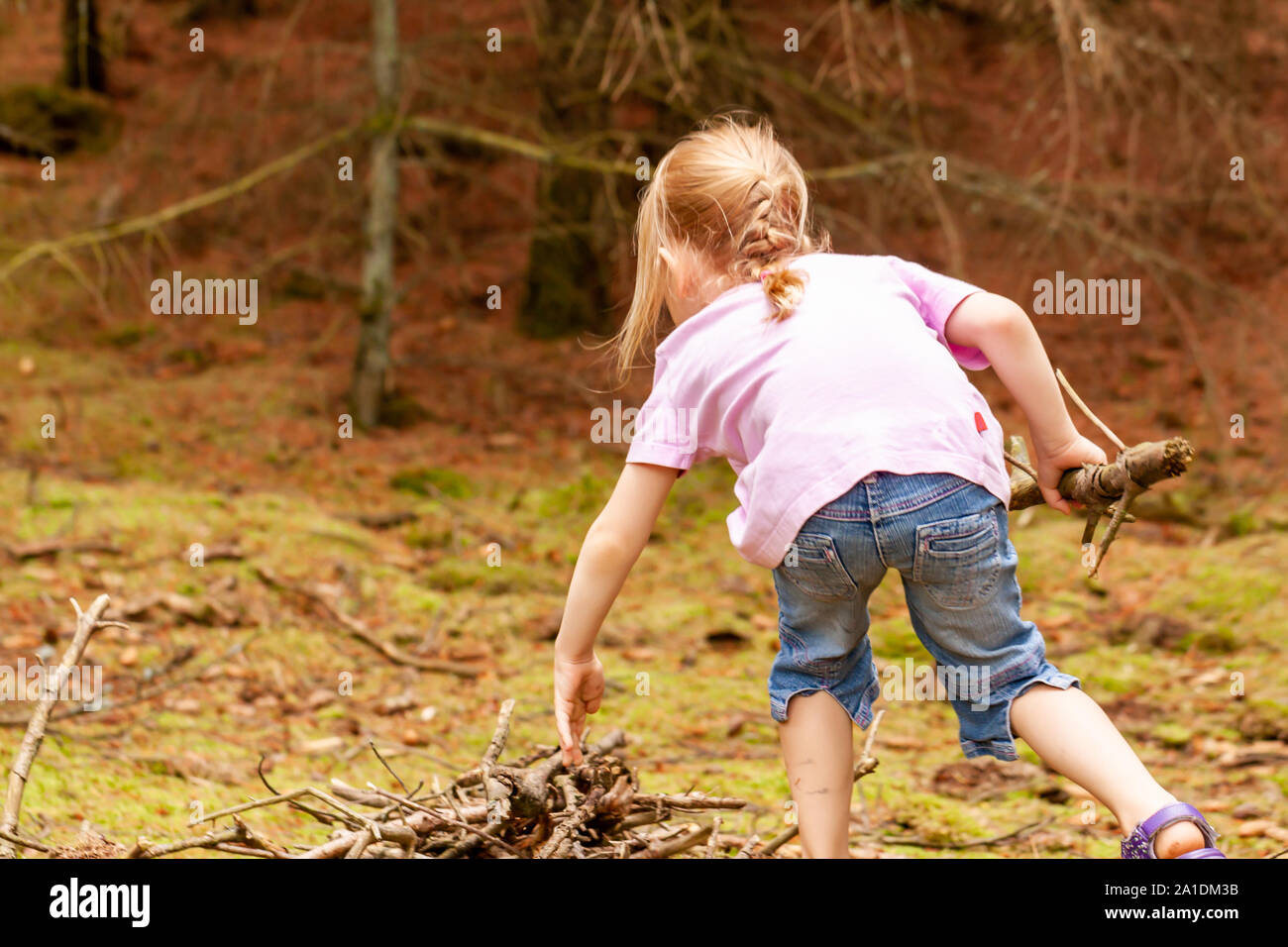 Bambina da solo la ricerca di legno e il cibo nella foresta. Foto Stock