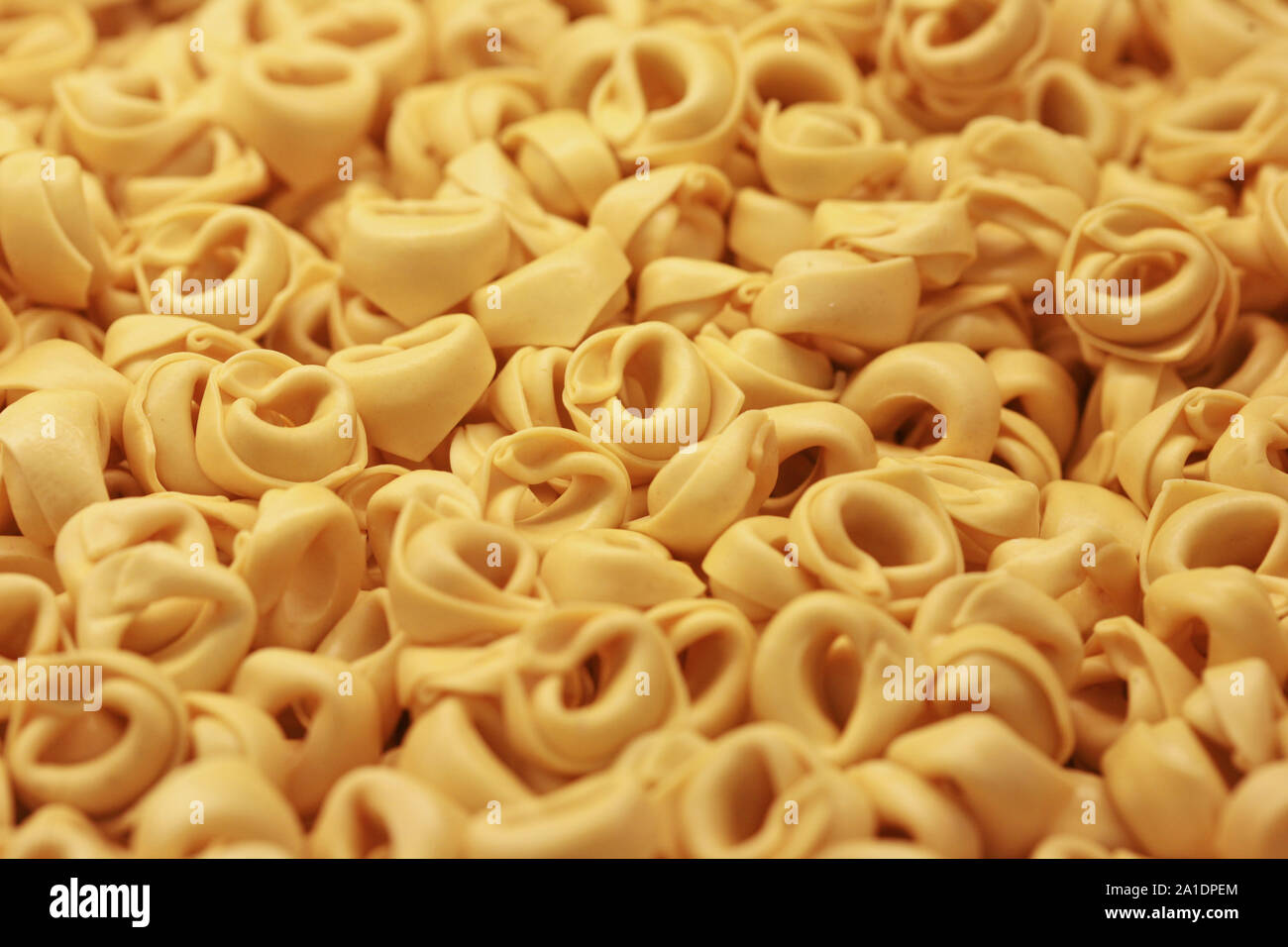 Freschi di pasta italiana tortellini, ripiene di carne Foto stock - Alamy