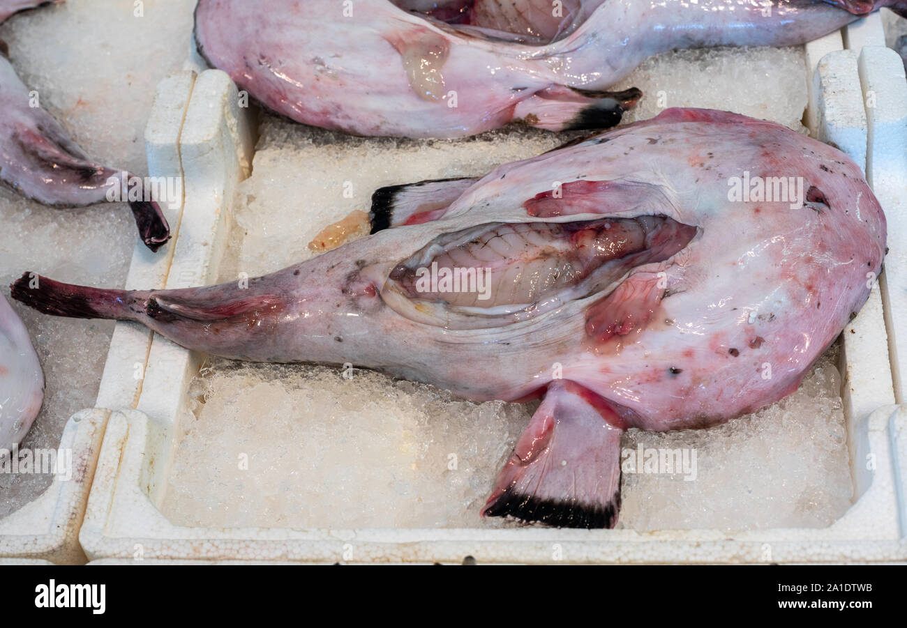 Rana pescatrice sul mercato del pesce Foto Stock