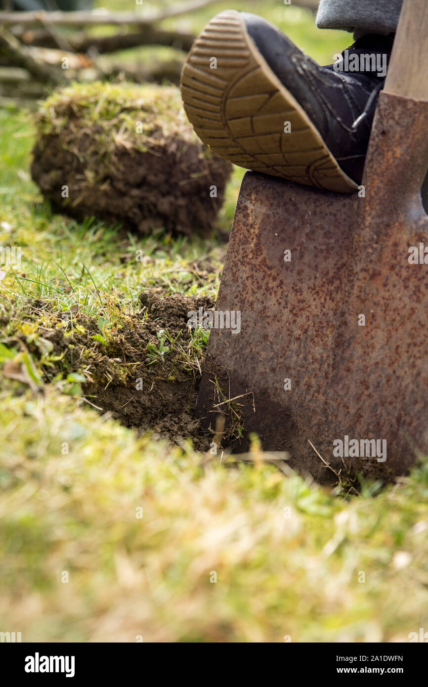Il Giardiniere di scavare un foro con una vecchia vanga, giardinaggio e orticoltura Foto Stock