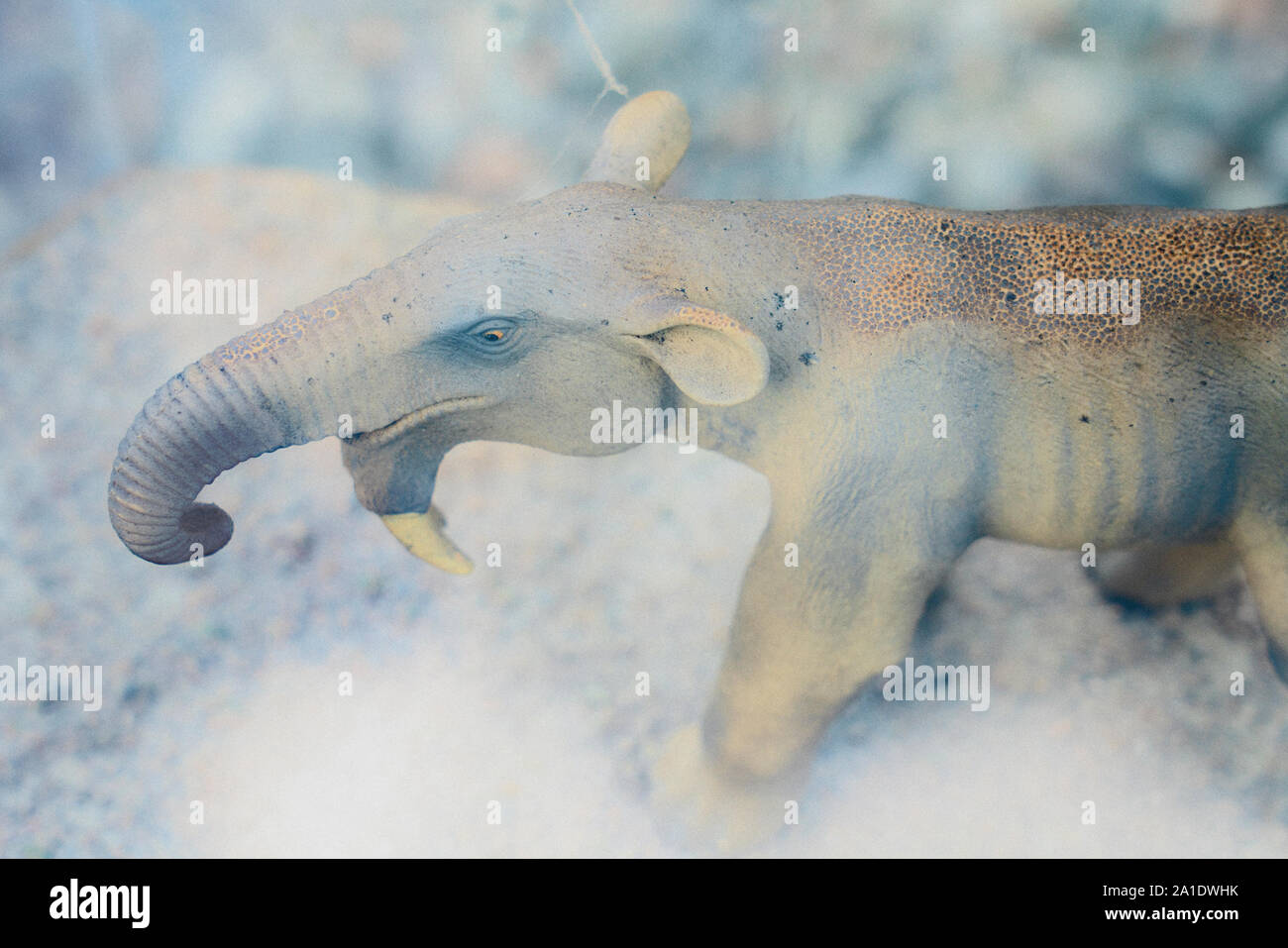 Modello in miniatura di un Deinotherium, Dinotherium, Birds Eye view Foto Stock