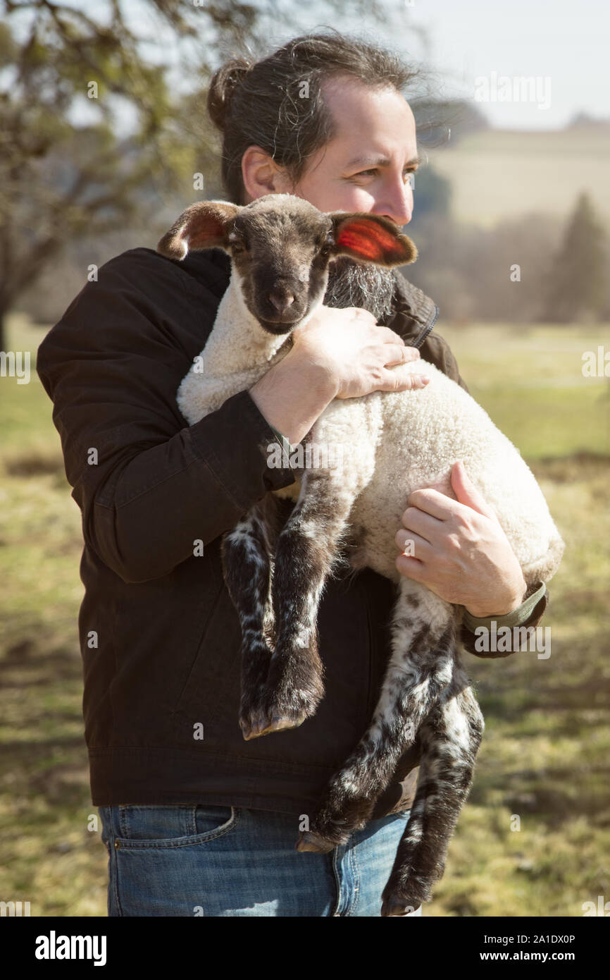 Uomo con un simpatico agnello, concetto amante degli animali e la protezione Foto Stock