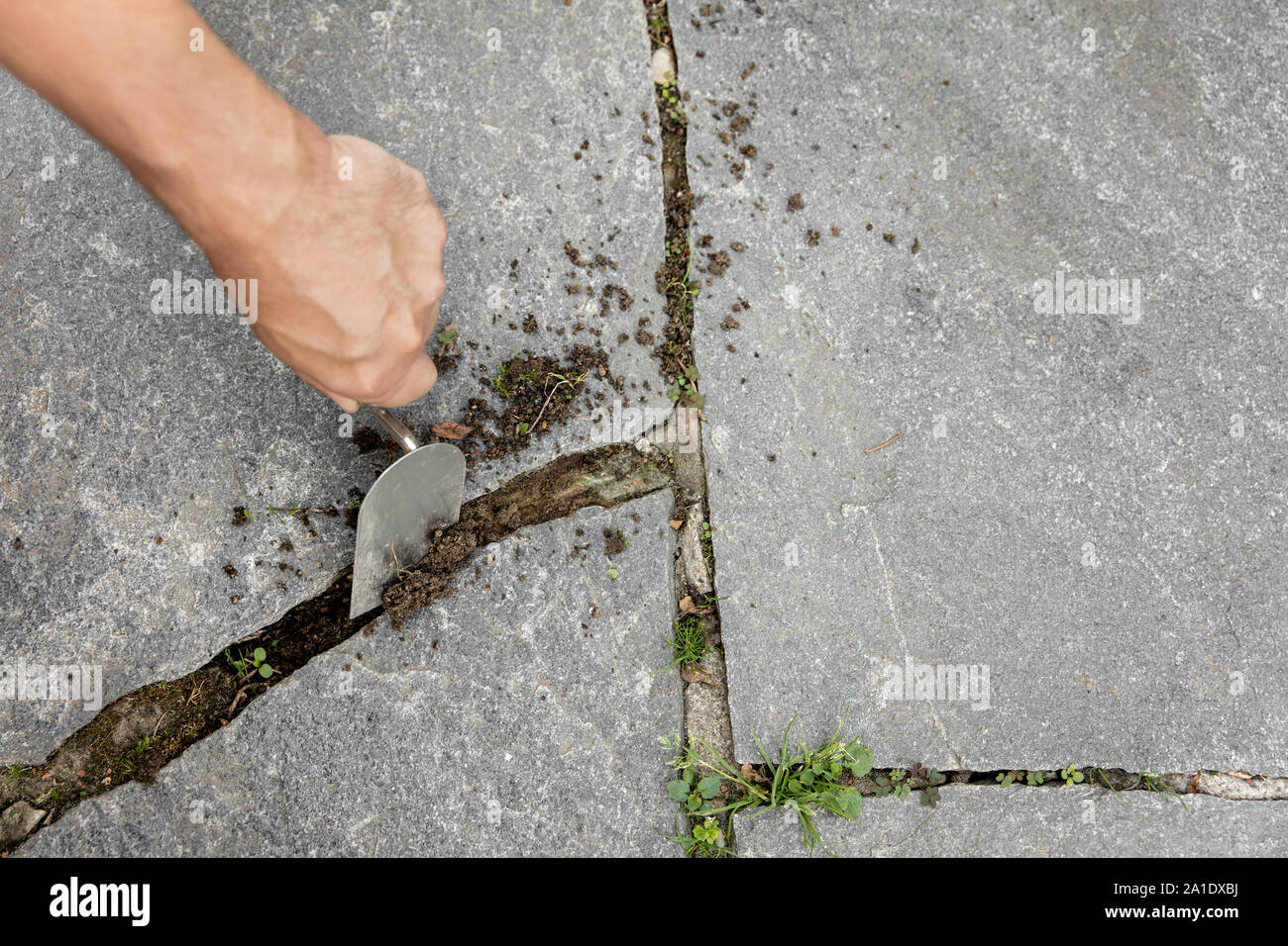 Giunti beeing puliti con una crepa weeder, prima di iniezioni Foto Stock