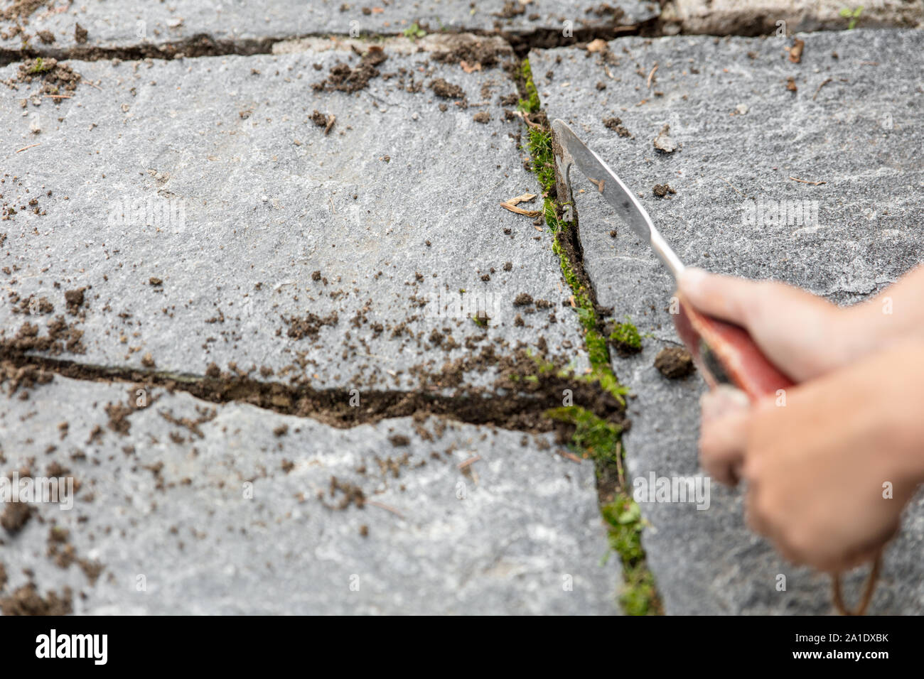 Giunti beeing puliti con una crepa weeder, prima di iniezioni Foto Stock