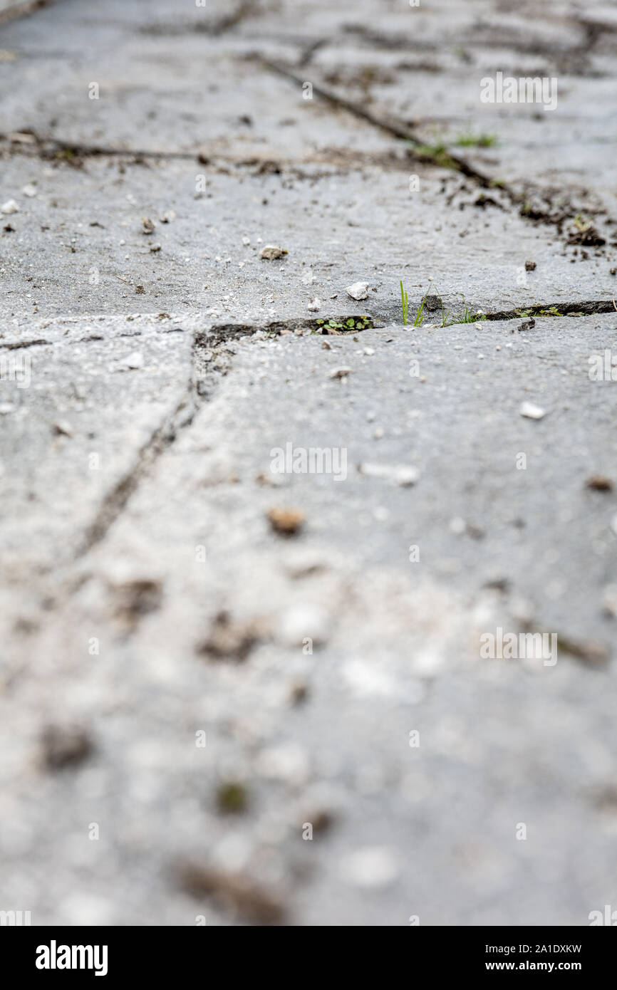 Giunti beeing puliti con una crepa weeder, prima di iniezioni Foto Stock