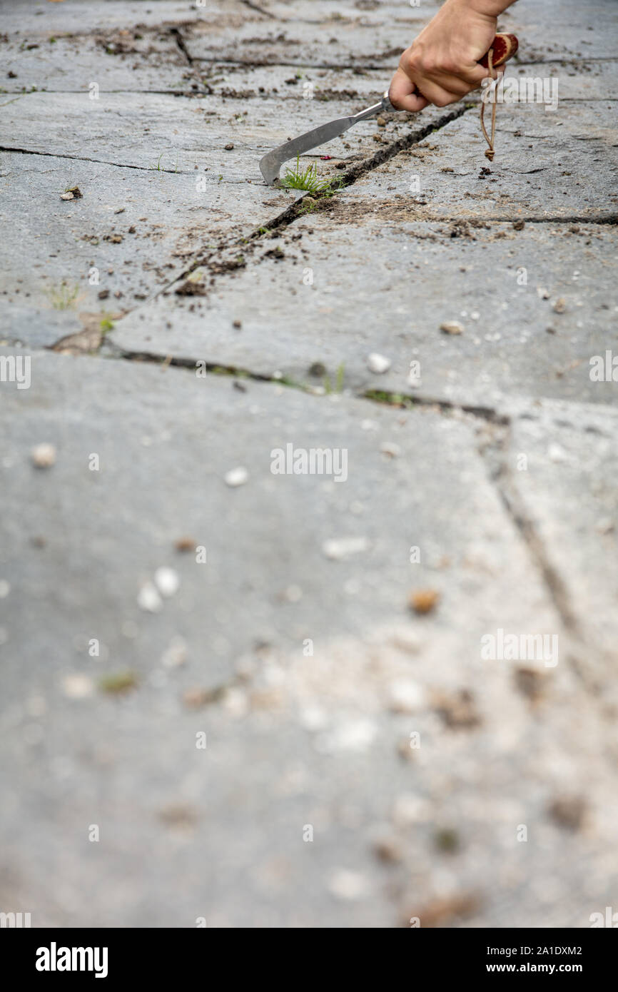 Giunti beeing puliti con una crepa weeder, prima di iniezioni Foto Stock
