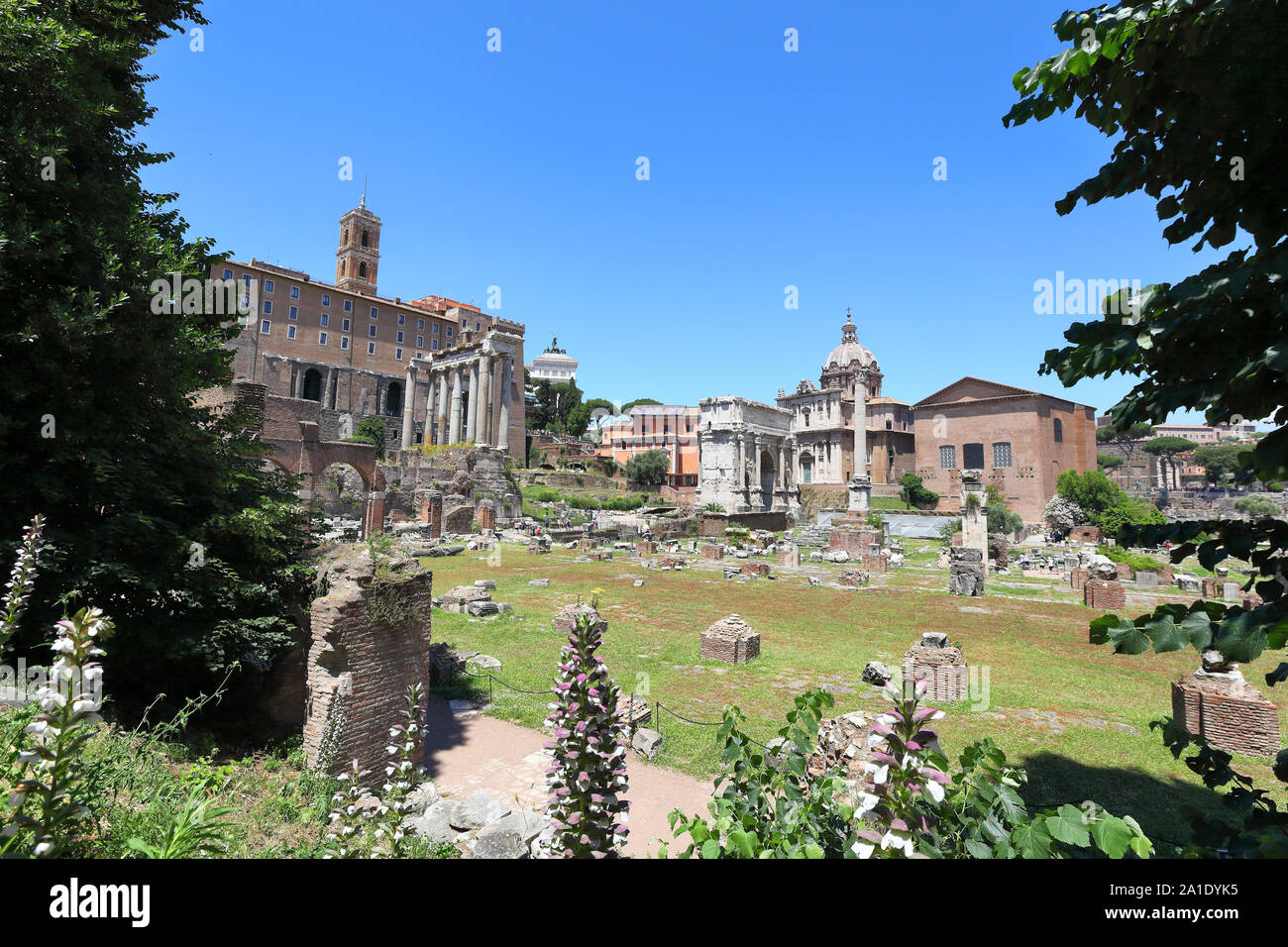 Vista panoramica del Foro Romano guardando verso i resti del Tempio di Saturno, l'Arco di Settimio Severo e il Palazzo del Senato. Foto Stock