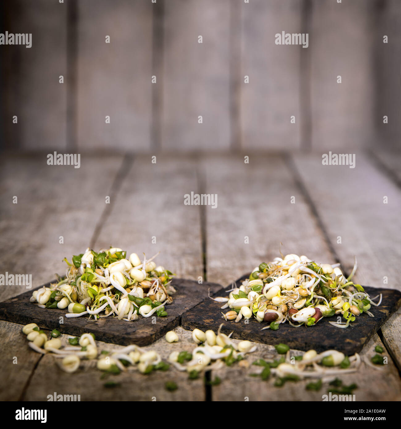 Mung bean i germogli di fronte un rustico in legno con sfondo copyspace Foto Stock