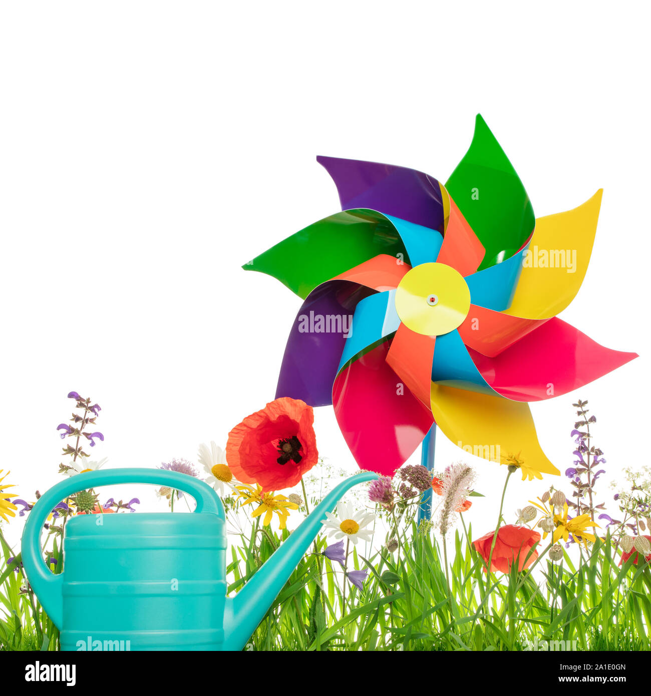 Annaffiatoio e mulino a vento giocattolo sul colorati prati fioriti, sfondo bianco e copyspace Foto Stock
