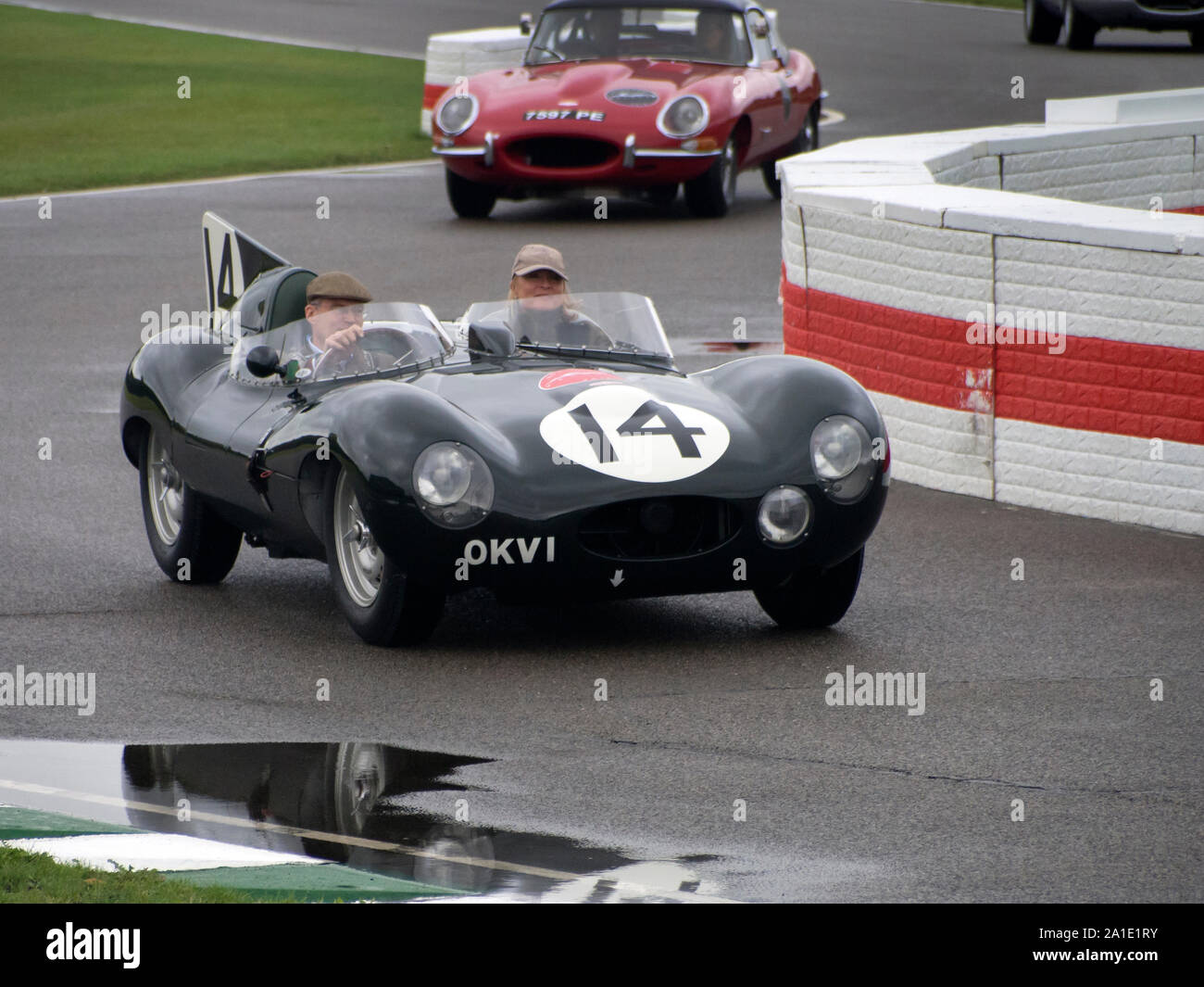 1954 Jaguar D Type al veloce della carità via giorno a Goodwood 25/9/19 Foto Stock