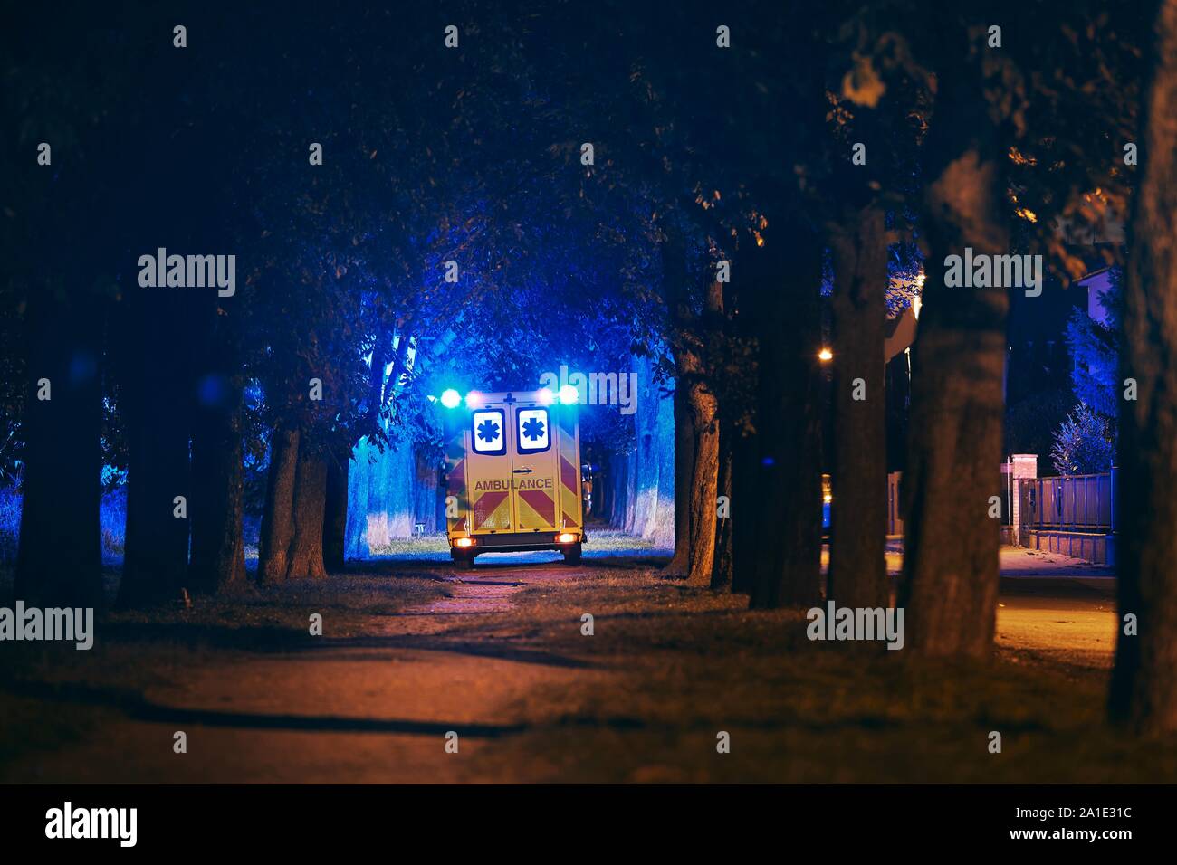 Salvataggio nel buio vicolo della città. Vista posteriore di ambulanza del servizio di emergenza medica contro gli alberi illuminati dal blu del lampeggiatore. Foto Stock