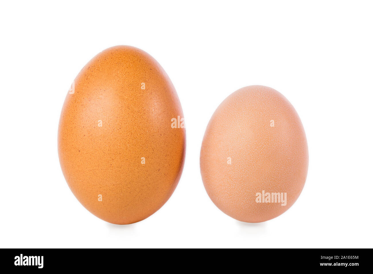 Due uova, uno da un giovane gallina o poltry, isolato nella parte anteriore del bianco Foto Stock