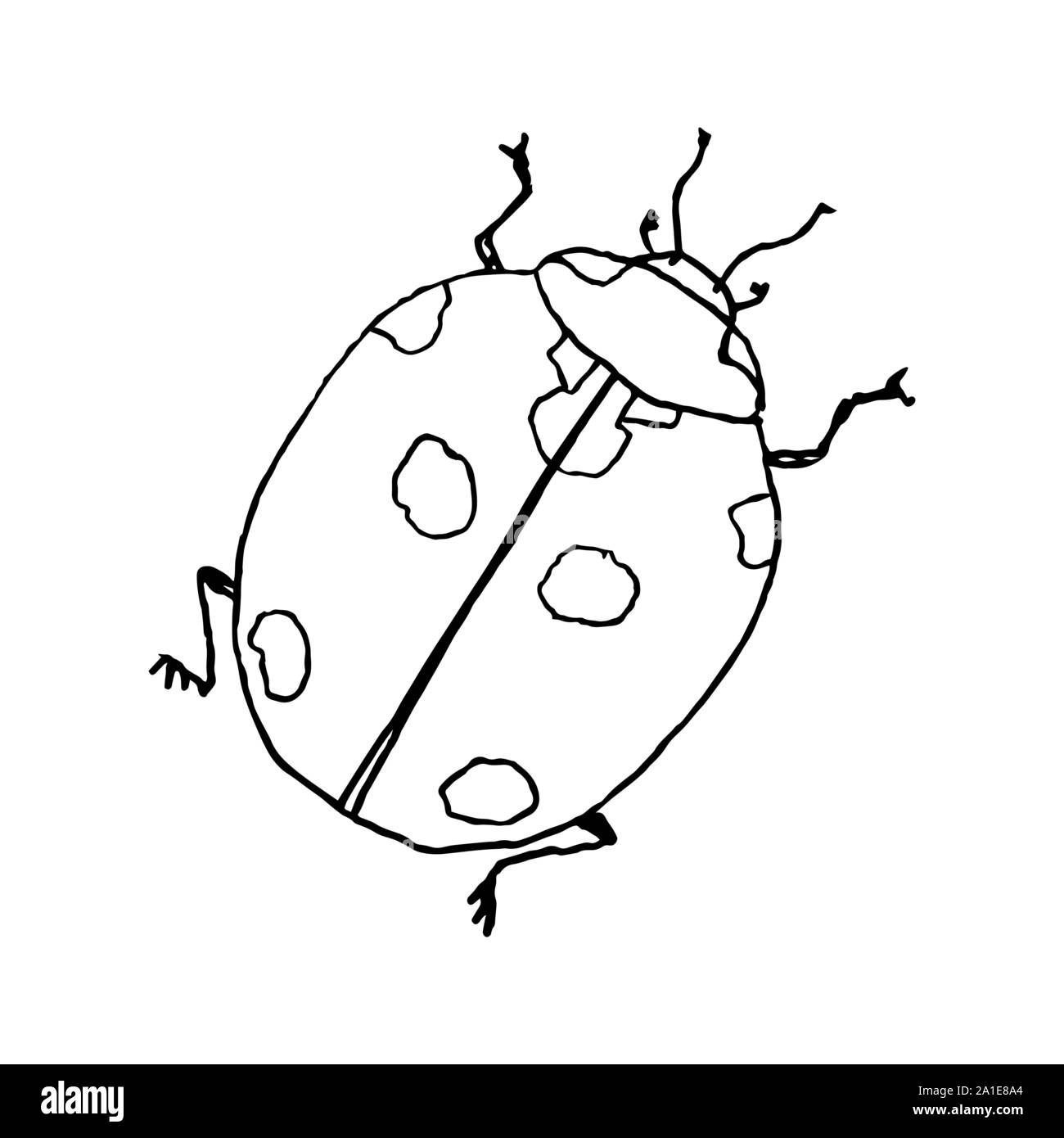 Lady bug. Line art doodle sketch. Contorno nero su sfondo bianco. Immagine può essere utilizzato in biglietti di auguri, poster, volantini, banner, logo, disegno botanico ecc. Illustrazione Vettoriale. EPS10 Illustrazione Vettoriale