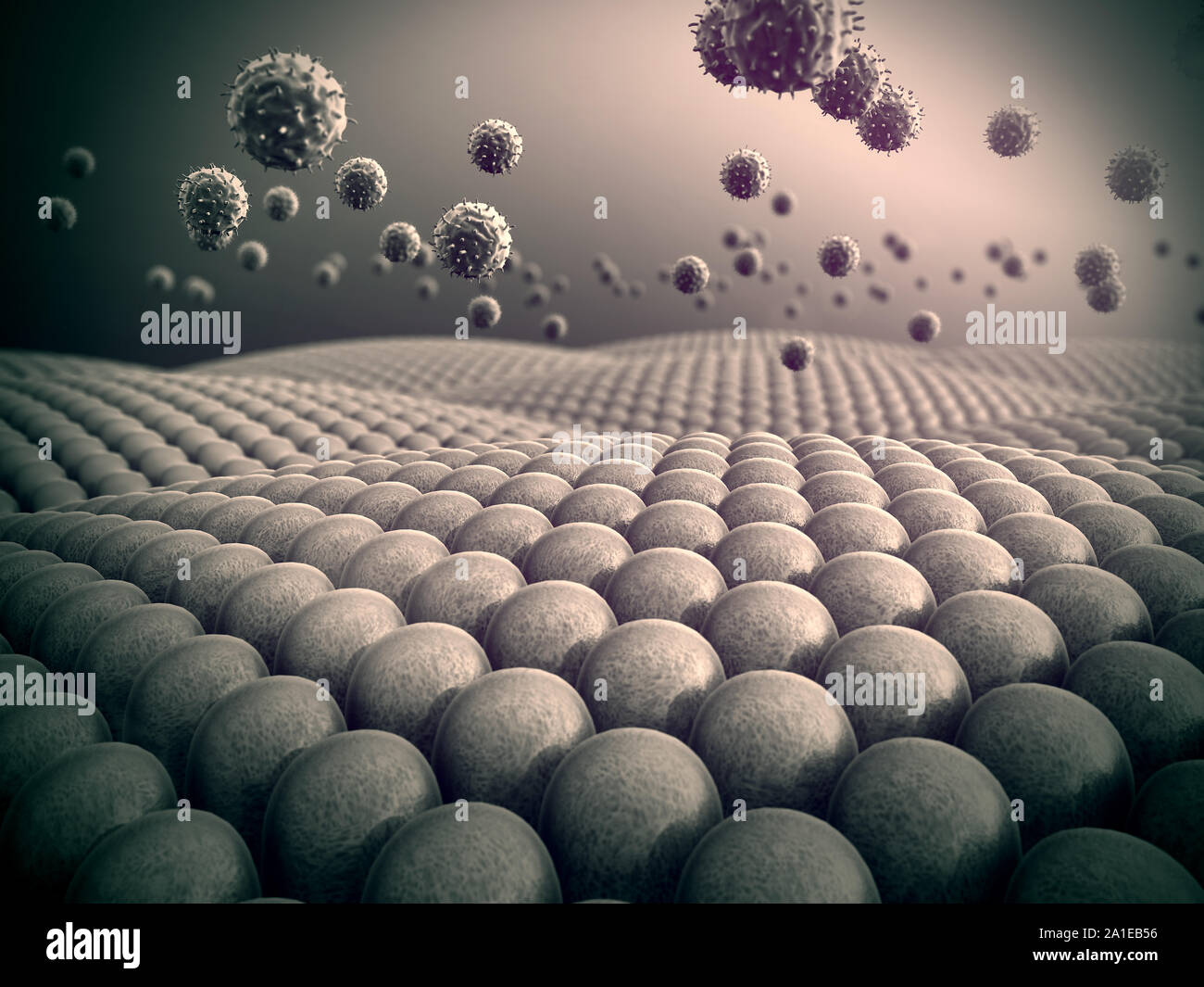 Campo di cellule, virus attaccano le cellule, azione del sistema immunitario umano Foto Stock