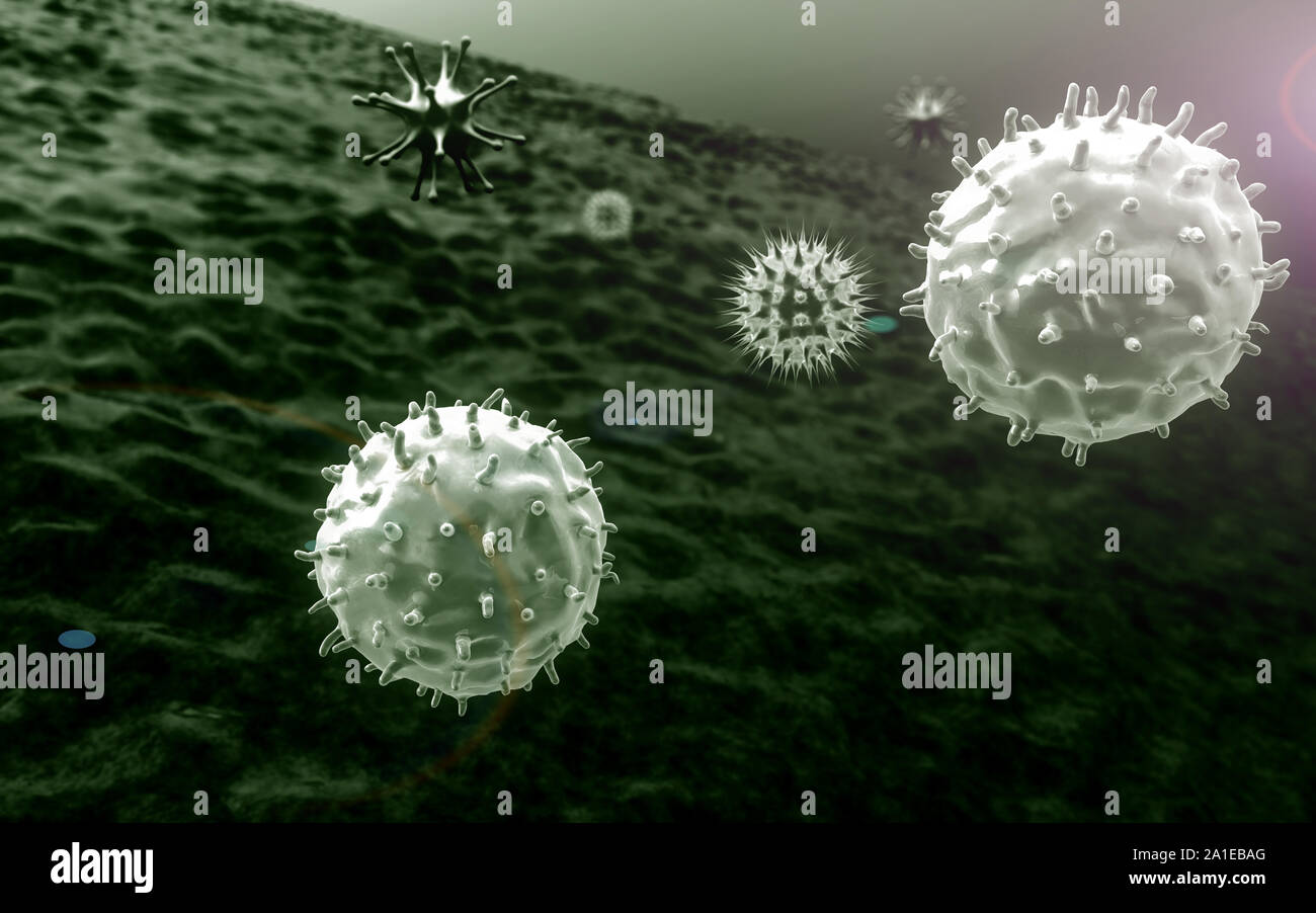 I macrofagi uccide i virus, all'interno del corpo umano, medico uno sfondo video, virus nel corpo umano Foto Stock